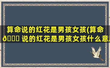 算命说的红花是男孩女孩(算命 🐛 说的红花是男孩女孩什么意思)